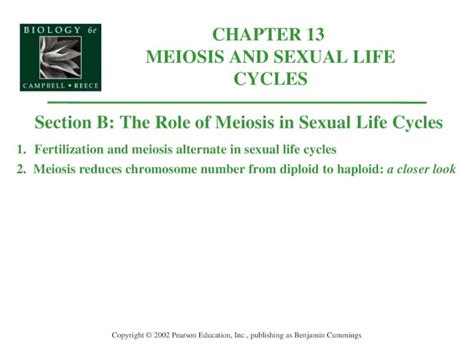 Ppt Chapter 13 Meiosis And Sexual Life Cycles Copyright © 2002 Pearson Education Inc