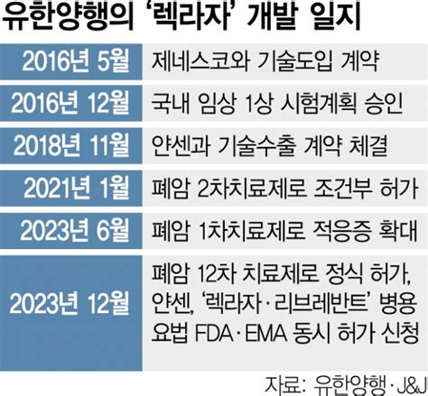 기술수출 5년만에국산 항암제 렉라자 글로벌 상업화 속도 서울경제