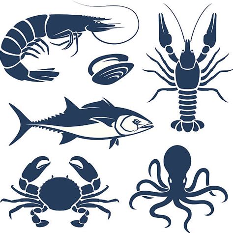 Seafood Illustrations Royalty Free Vector Graphics And Clip Art Istock