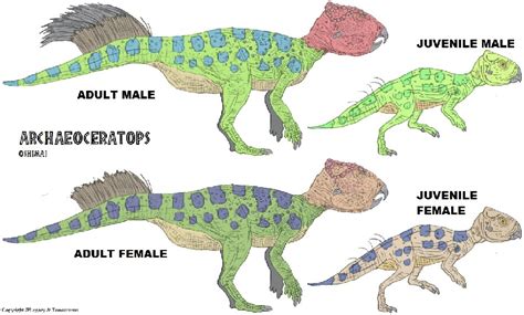 Archaeoceratops Pictures & Facts - The Dinosaur Database