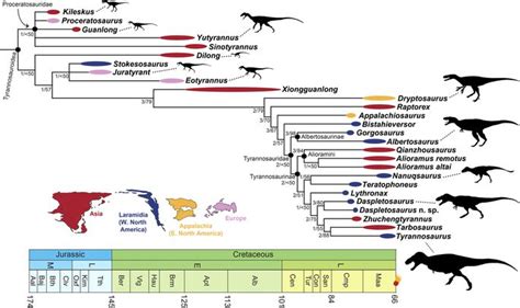 The Phylogeny And Evolutionary History Of Tyrannosauroid Dinosaurs Dinossauros Ciencias