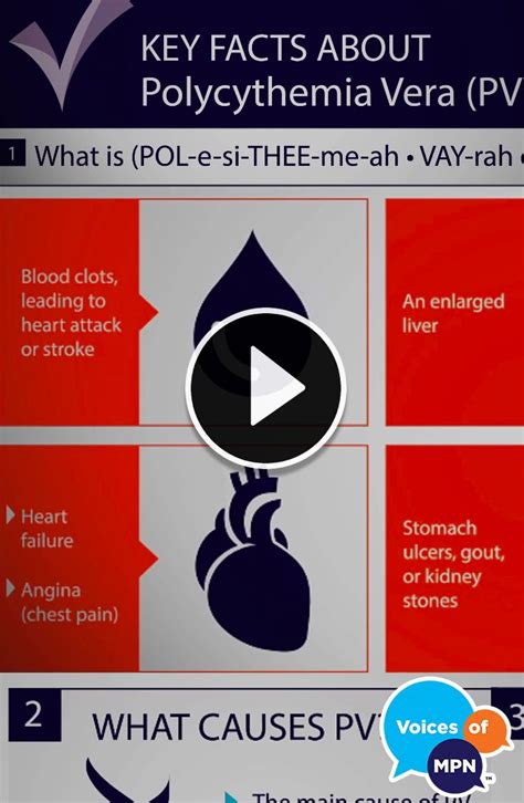 7 Key Facts You Need To Know About Polycythemia Vera Pv Check Out This Infographic Here