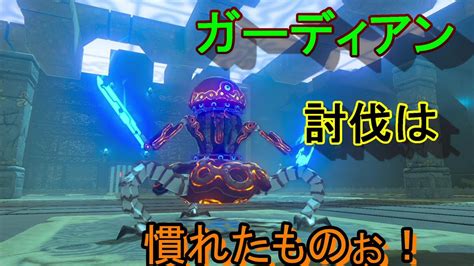 謎解きに弱すぎる男の抗い 名作謎解きゲーをiq3がゆく ゼルダの伝説botw 実況プレイ30 Youtube