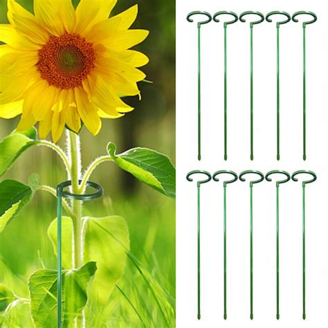 10Pcs Single Stem Plant Support Stakes Flower Stem Supports Rings Cages