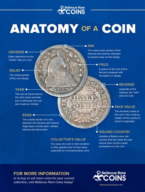 Infographic Anatomy Of A Coin Bellevue Rare Coins