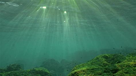 La Méditerranée est elle plus touchée par les canicules marines que les