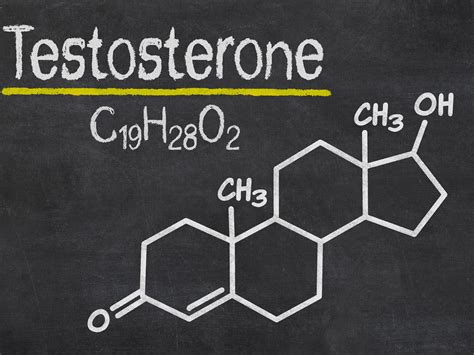 Formula De La Testosterona La Guía De Las Vitaminas