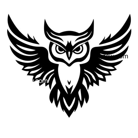 Owl Emblem Logo Icon transparent background - Photo #10907 - Pngdow ...