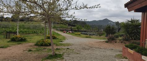 Primavera Vol Dir Que No Nom S Ens Floreixen Les Plantes Parc De