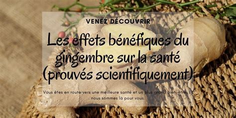 Emillyapos Les effets bénéfiques du gingembre sur la santé