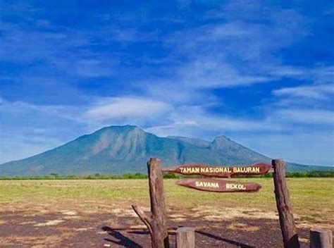 Taman Nasional Baluran Pesona Banyuwangi Rasa Afrika