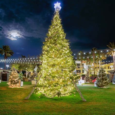 Christmas Holiday Lights Kick Off 30a