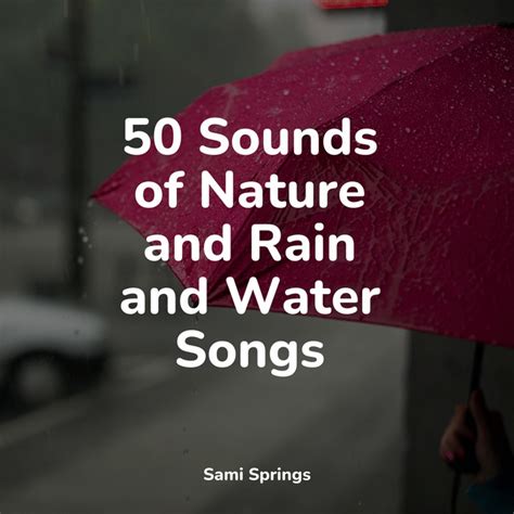 50 Sounds Of Nature And Rain And Water Songs Album By Sleep Makers