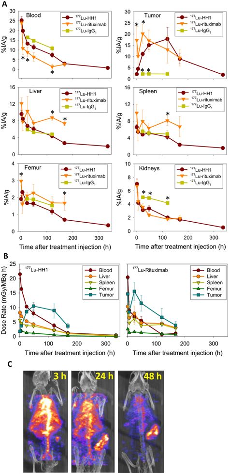 Biodistribution And Dosimetry A Uptake Of 177lu Hh1 N 6 8