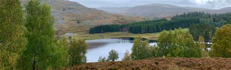 Curlew Trail: Kingussie to Newtonmore: 6 Reviews, Map - Highlands ...