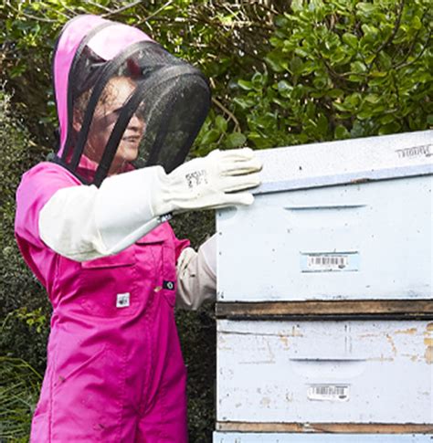 Backyard Beekeeping 101 - All Your Questions Answered