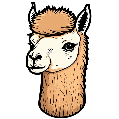 Mammal Animal Head Llama 18884461 Vector Art At Vecteezy