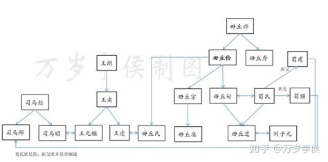 曹魏“淮南三叛”王凌、毌丘俭、诸葛诞与司马氏家族关系网络 知乎