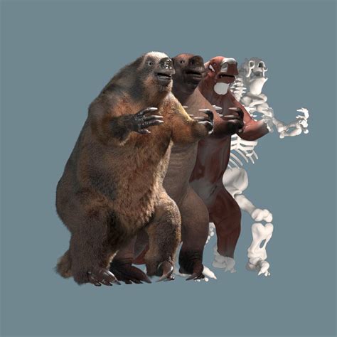 Dom Engles - Megatherium Americanum Reconstruction