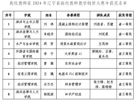 我校教师在2024年辽宁省高校教师教学创新大赛中取得佳绩