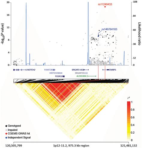 Regional Plots Of Breast Cancer Association In 1p12 11 2 Regional Plot