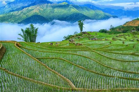 Best Time To Visit Sapa For Trekking And Fansipan