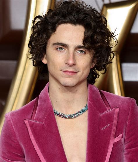 Timothée Chalamet Wore Cartier Necklace with Nearly 1,000 Gemstones to ...