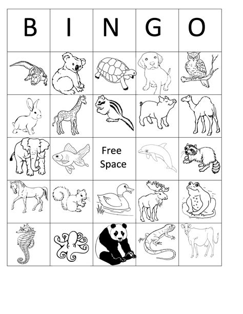 Printable Animal Bingo Card 2 Black And White Coloring Sheet Birthday