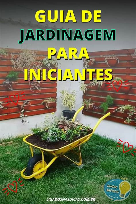 Guia de jardinagem para iniciantes 7 dicas para começar Artofit