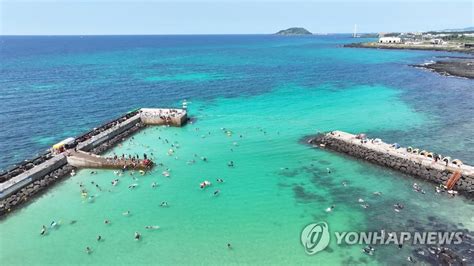 제주 판포포구 스노클링 인기