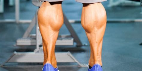 10 Calf Training Tips For Building Bigger Calves TheRippedAthlete