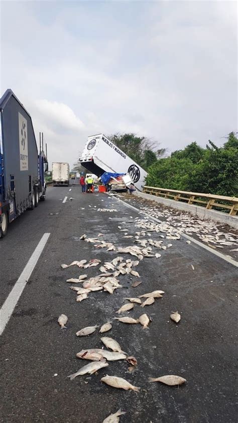 Tr Iler Queda Colgando De Un Puente En Carretera La Tinaja Cosamaloapan