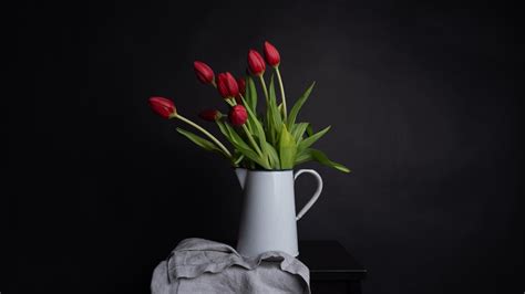 Still Life Photographer In Narre Warren Specialising In Still Life