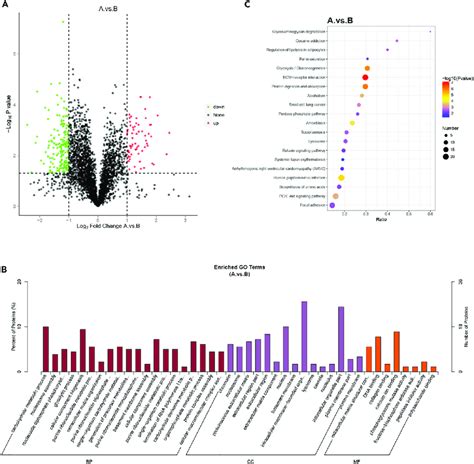 Identification And Analysis Of Differentially Expressed Proteins Deps