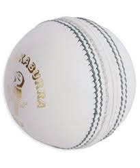 Shield White Kookaburra Cricket Ball – DOZEN – Meulemans Cricket Centre