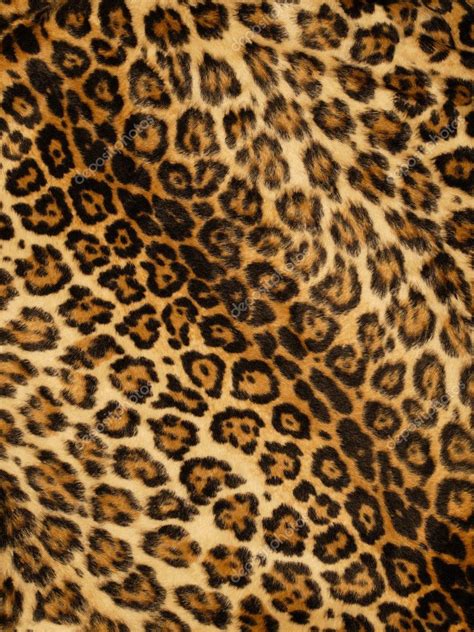 Leopard print background Stock Photo by ©sumners 3247722