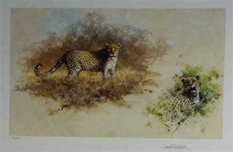 Leopards, wildlife of the world