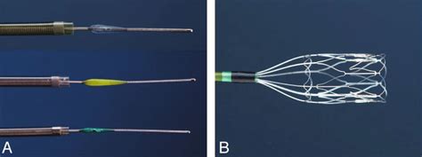 Schematic diagram of the Penumbra device. | Download Scientific Diagram