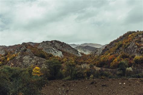 Premium Photo | Wildlife mountain with tree and animal landscape with ...