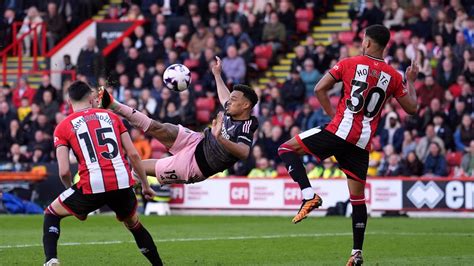 Rodrigo Muniz helps Fulham salvage point at Sheff Utd after six-goal ...