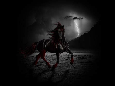 Dark Horse Wallpapers - Top Free Dark Horse Backgrounds - WallpaperAccess