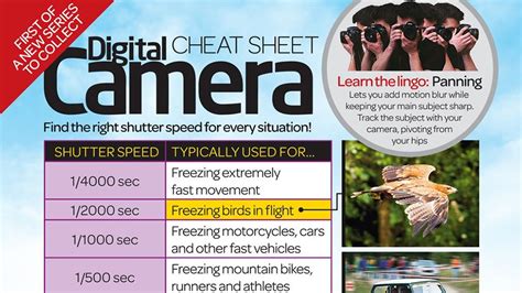 Cheat Sheet How To Read A Histogram Photography Cheat Sheets Images