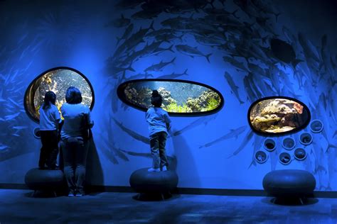 World Alive Aquarium & Indoor Rainforest at Discovery Place Science