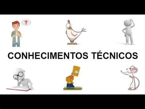 CONHECIMENTOS TÉCNICOS IBGE 2021 YouTube