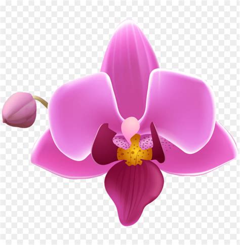 Png Image Of Orchid Flower Transparent With A Clear Background Image