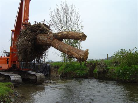 Live Willow Root Wad Installation Salix