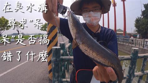 在臭水溝尋求呆呆是否搞錯了什麼 釣魚 Fishing 路亞 泰國鱧 Lure 阿修釣魚中 Youtube