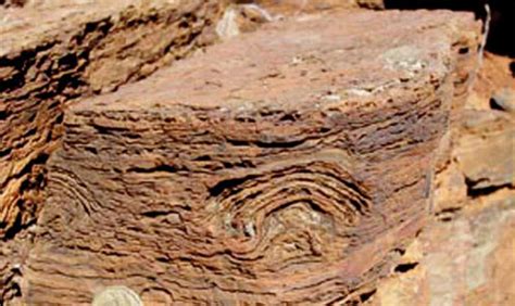 Early Traces Of Life Investigations In Drilling Archean Hydrothermal