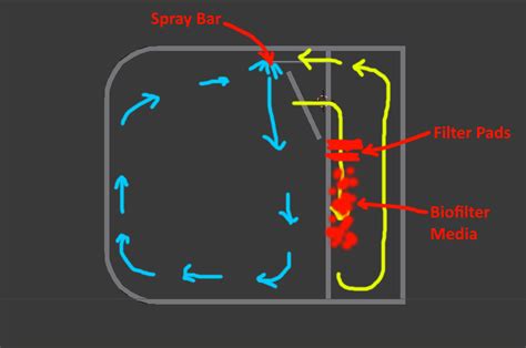 Building A Jellyfish Tank | Reef Central Online Community