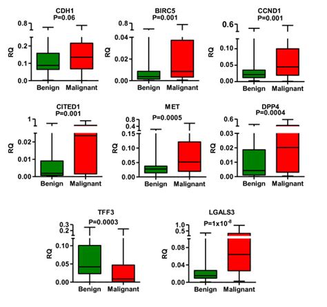 Median MRNA Expression Levels Of The Candidate Marker Genes In Groups